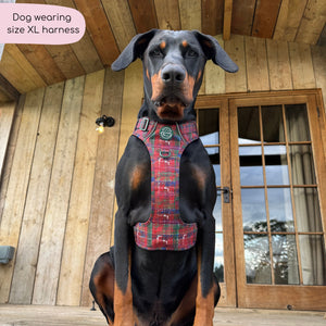 Tough Trails™ Harness - Yuletide Plaid