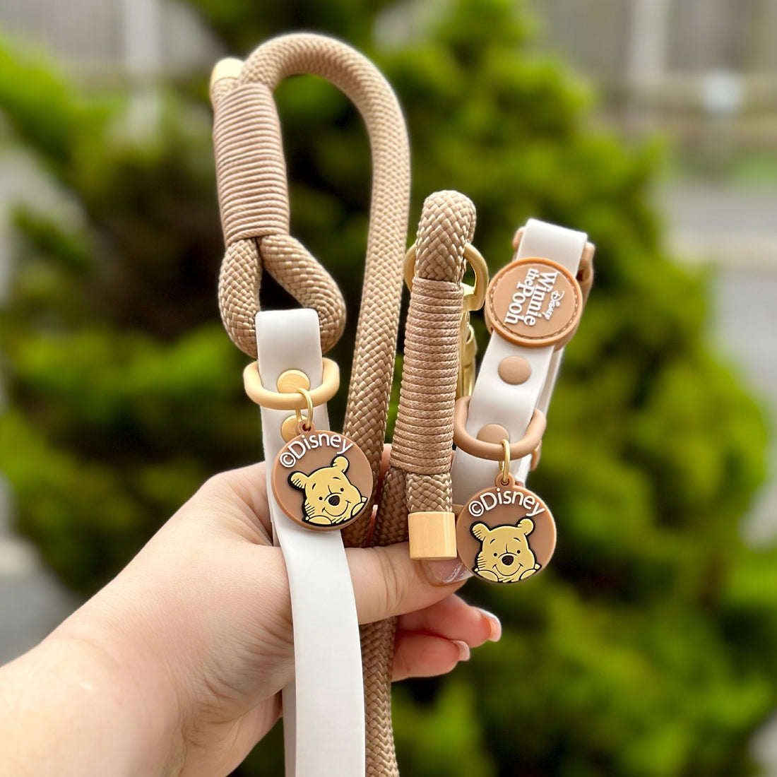 Disney© 4ft Rope Lead - Winnie The Pooh - Beige and Brown