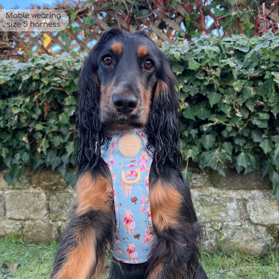 Disney© Tough Trails™ Harness - Winnie The Pooh