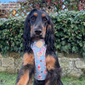 Disney© Tough Trails™ Harness - Winnie The Pooh
