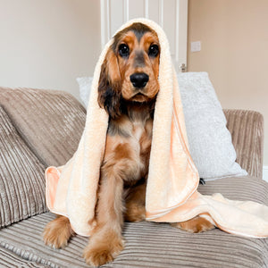 Disney© Microfibre Towel - Winnie The Pooh