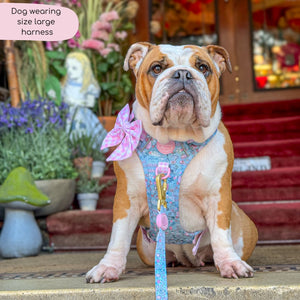 Disney© Tough Trails™ Harness - Mad Hatters Tea Party