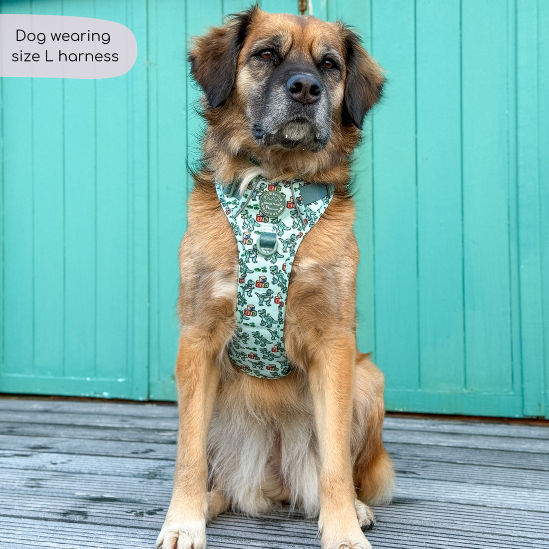Disney© Tough Trails™ Harness - Rex