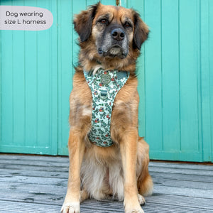 Disney© Tough Trails™ Harness - Rex