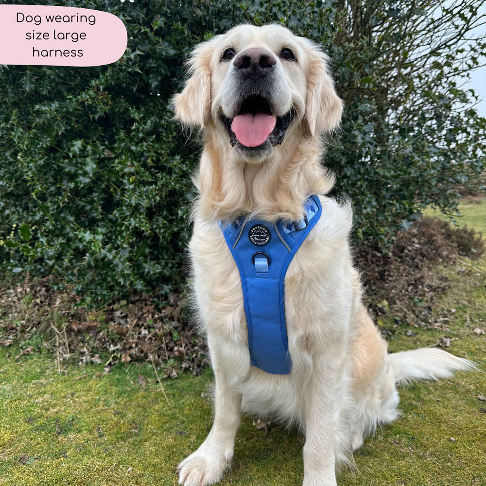 Tough Trails™ Harness - Walkies Ready® Cornflower Blue