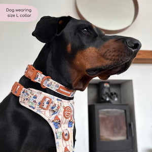 Paddington™ Collar - Peckish Paddington