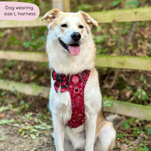 Tough Trails™ Harness - Bows Of Joy