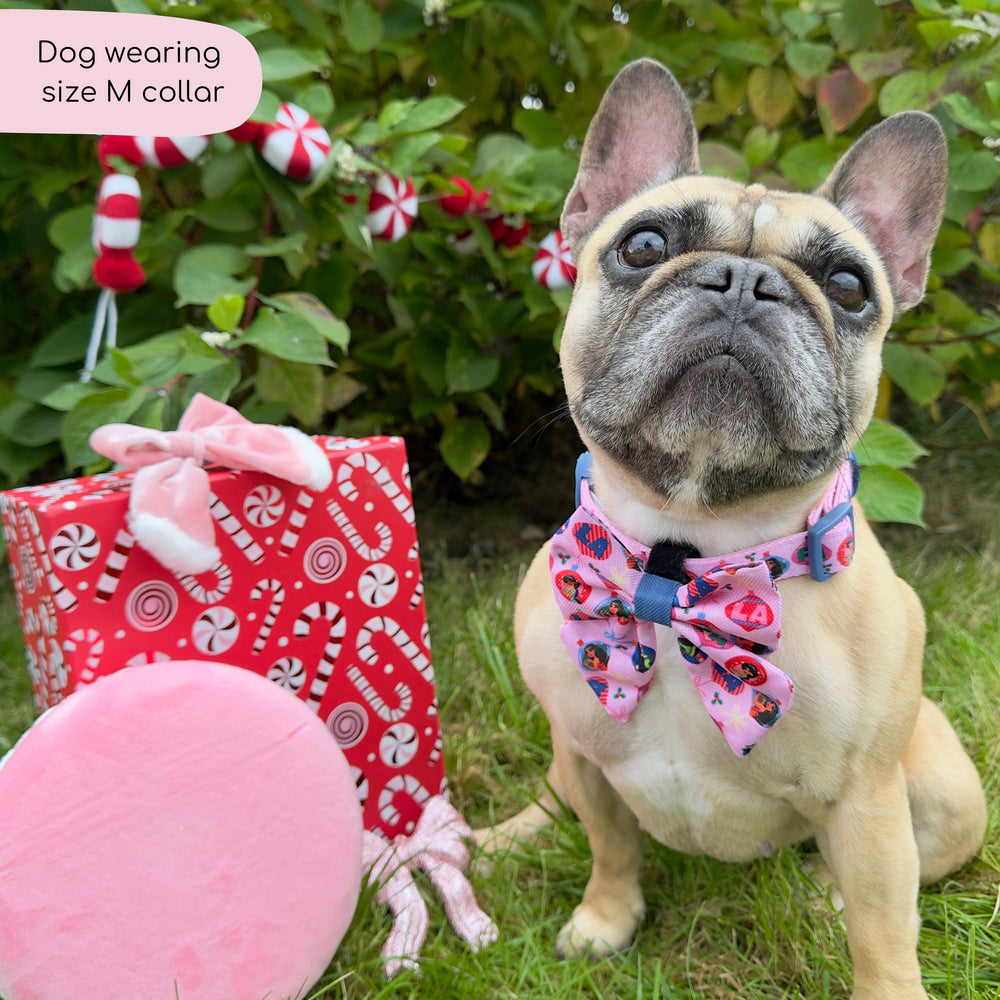 Disney© Collar - Princess