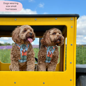 Tough Trails™ Harness - Harvest Plaid