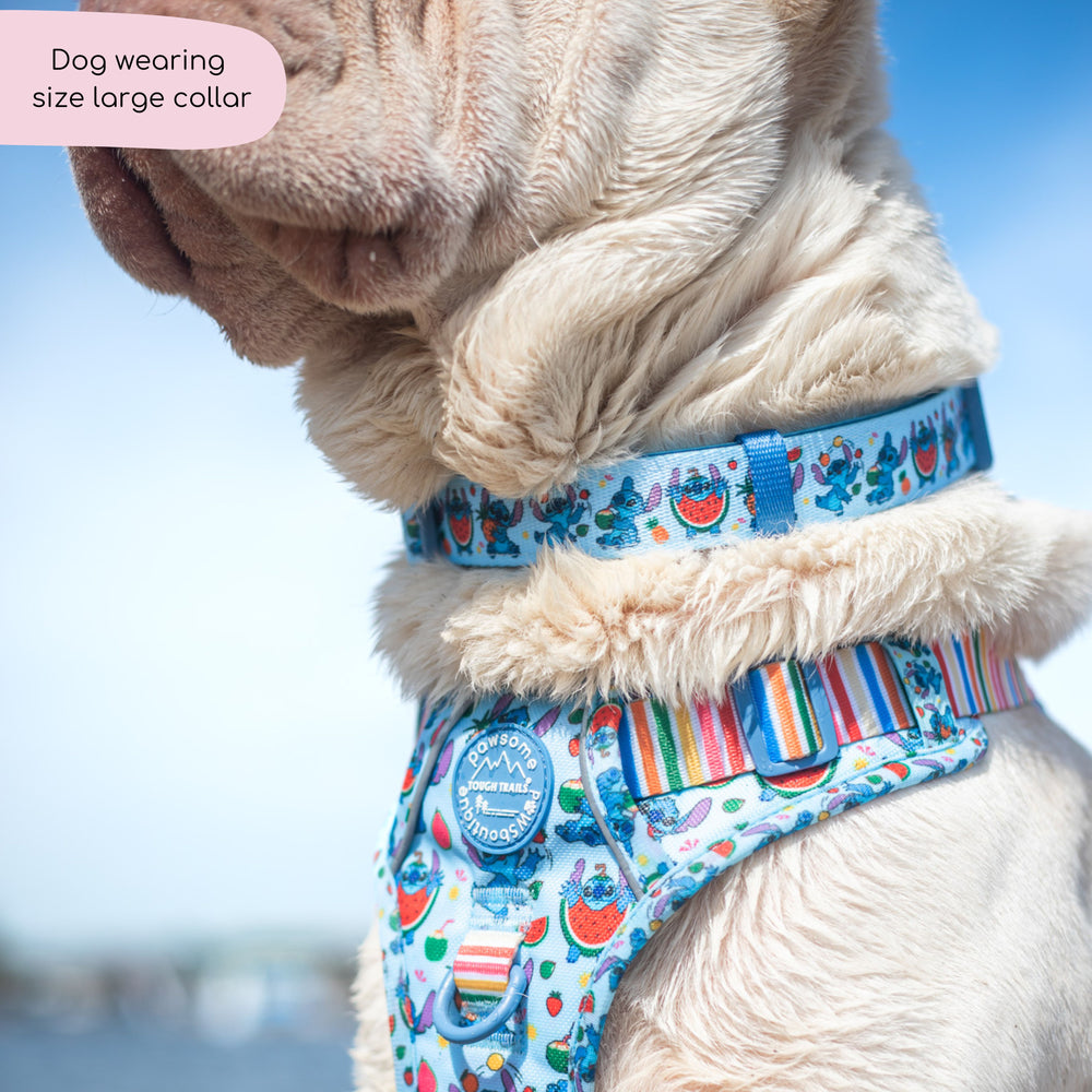 Disney© Collar - Stitch's Fruit Fiesta