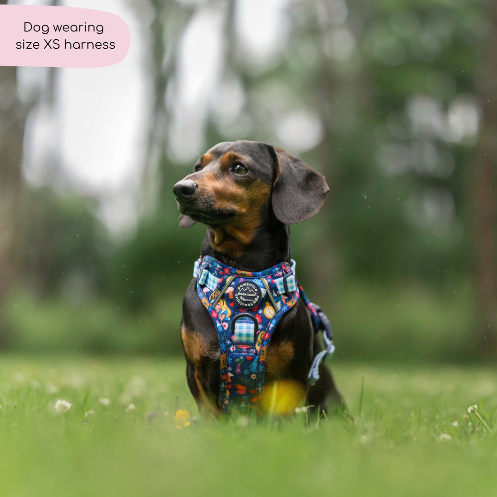 Disney© Tough Trails™ Harness - Alice In Wonderland