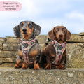 Tough Trails™ Harness - Plaid Pup