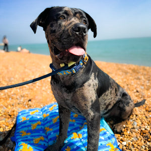 Disney© Travel Mat - Simba