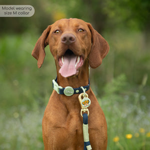 Disney© Waterproof Collar - Simba