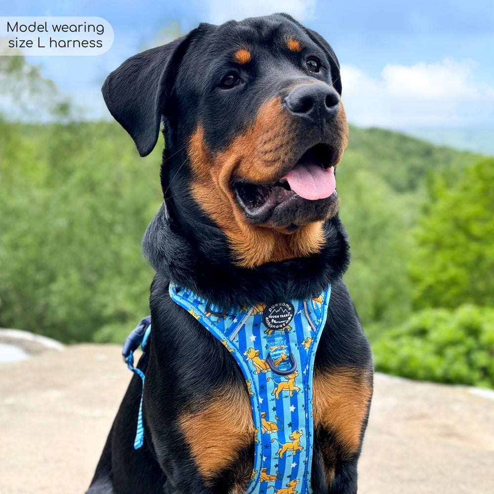 Disney© Tough Trails™ Harness - Simba