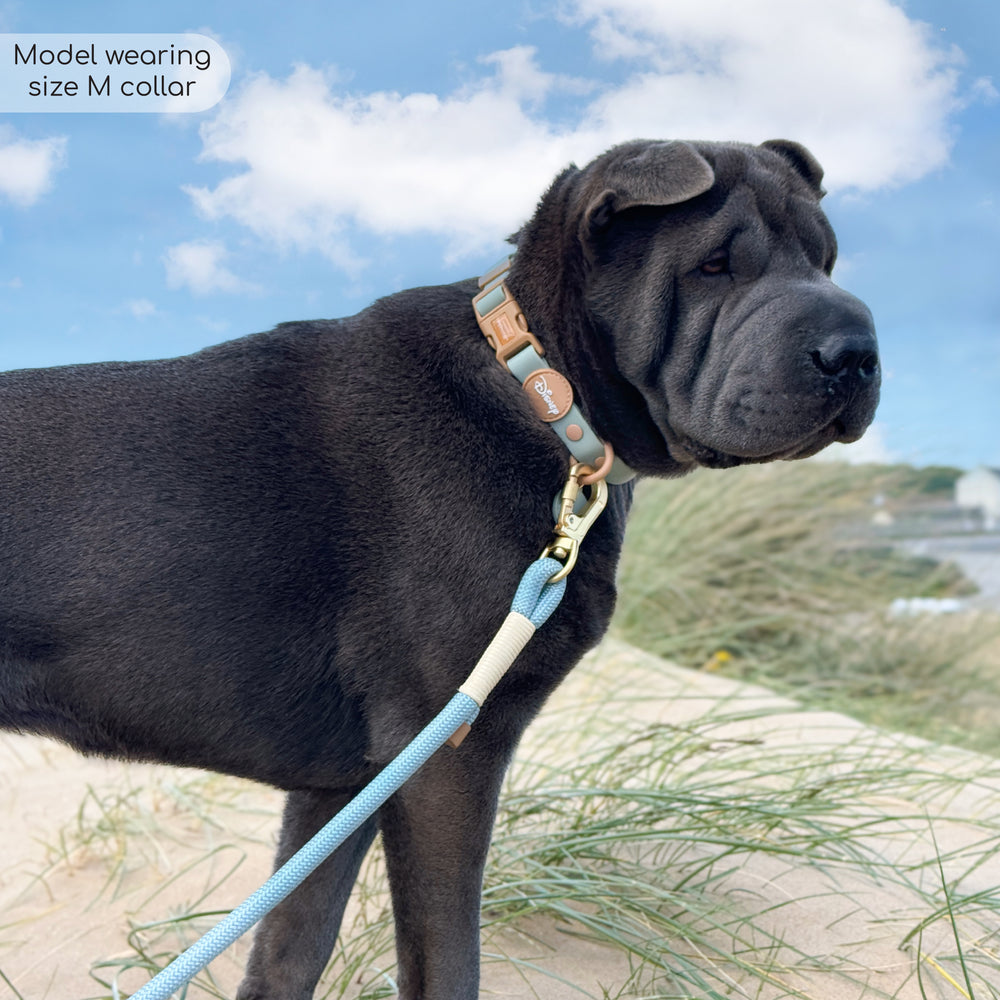 Disney© Waterproof Collar - Lion Friends