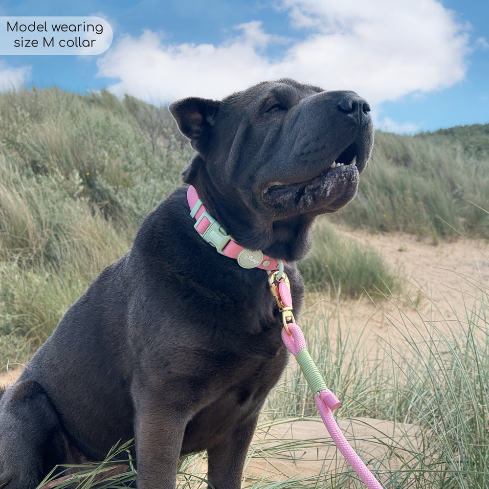 Disney© Waterproof Collar - Nala