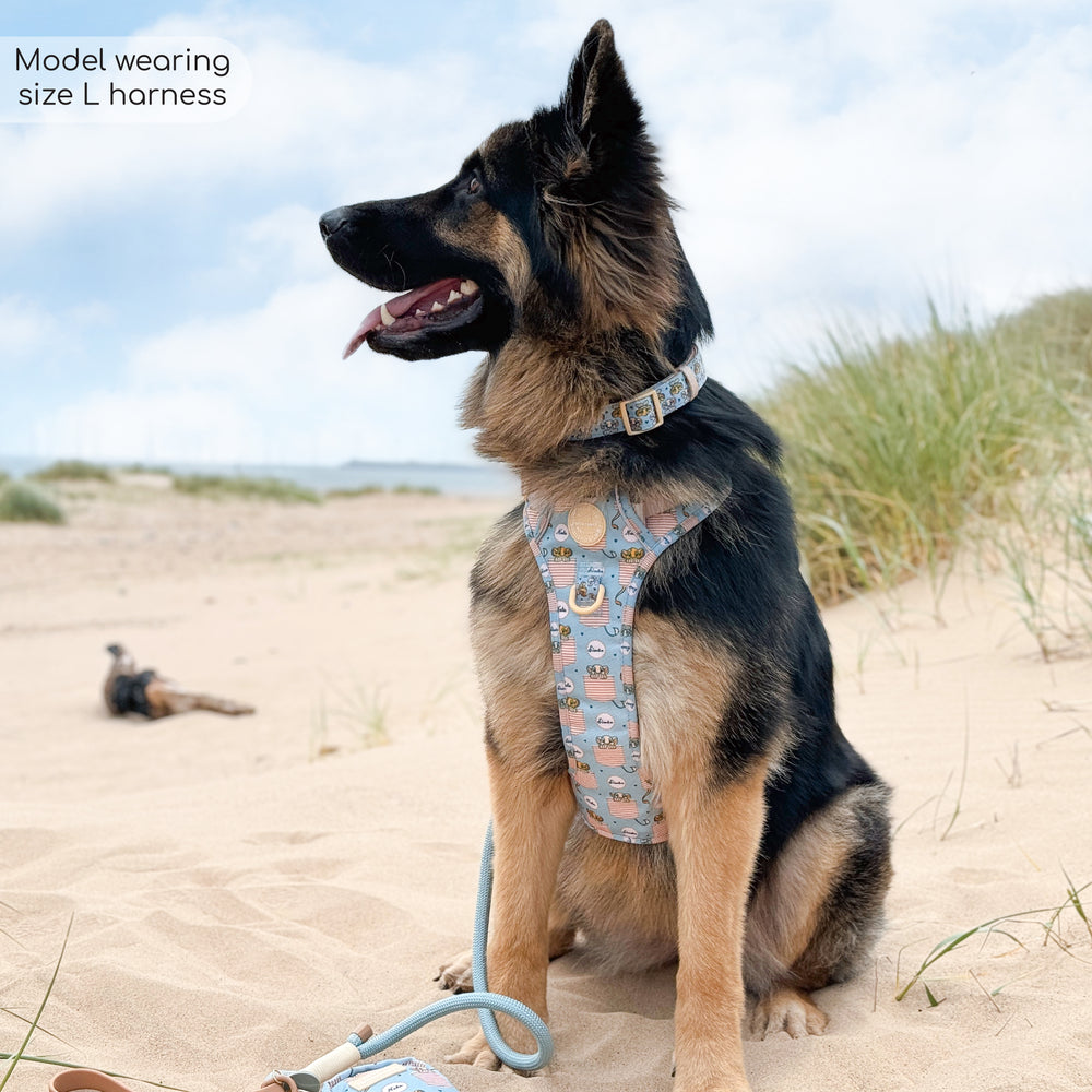 Disney© Tough Trails™ Harness - Lion Friends