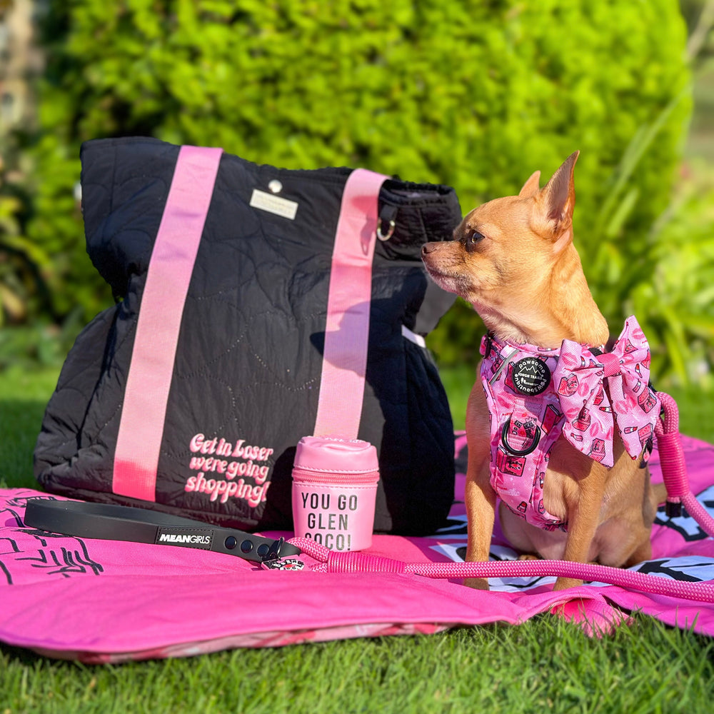 Sailor Bow -Mean Girls