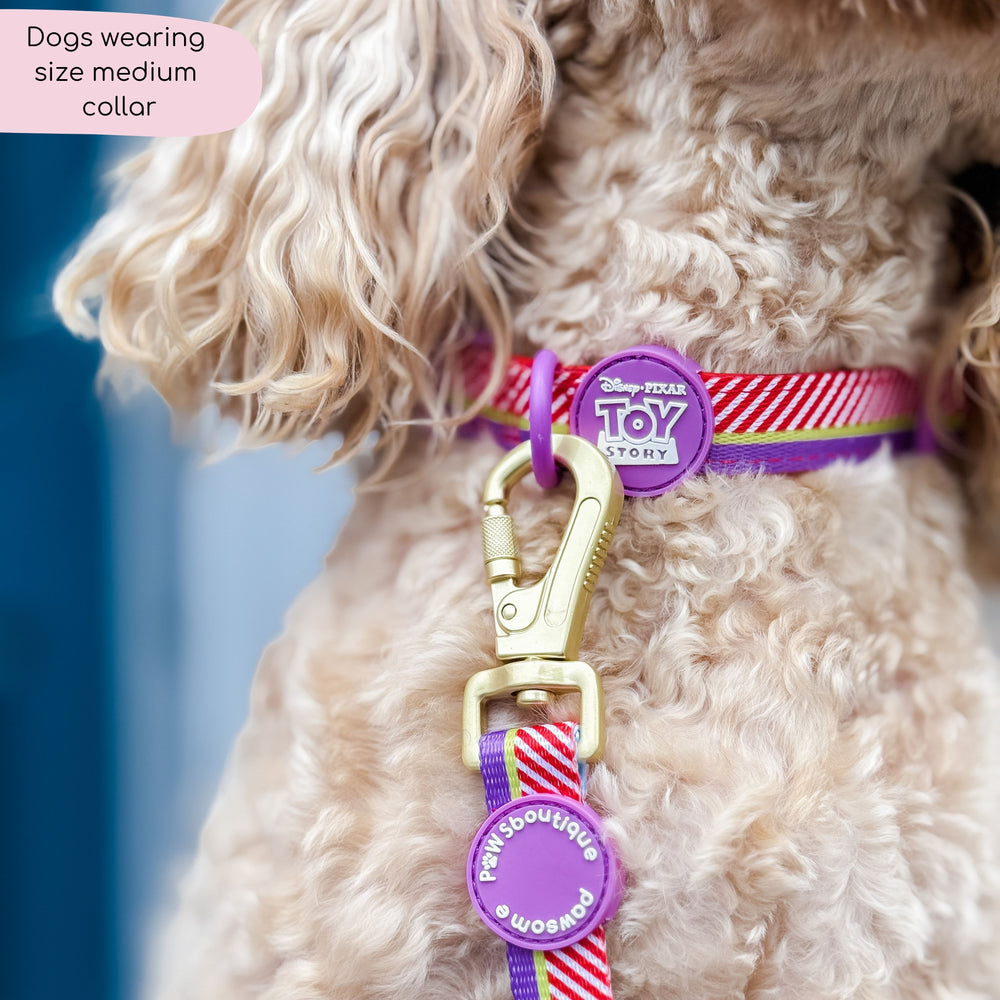 Disney© Collar - Buzz Lightyear