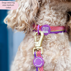 Disney© Collar - Buzz Lightyear