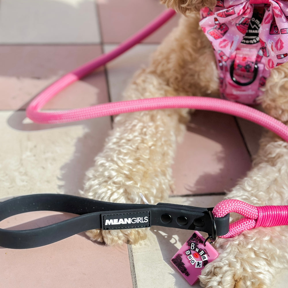 4ft Rope Lead - Mean Girls - Pink and Black