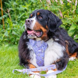 Disney© Lead - Bambi + Friends Lilac