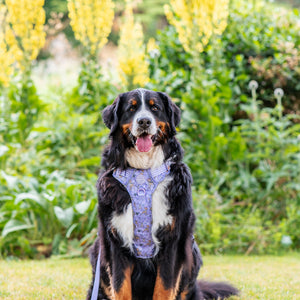 Disney© Treat Pouch - Bambi + Friends Lilac