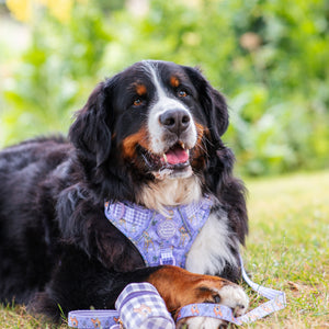 Disney© Treat Pouch - Bambi + Friends Lilac