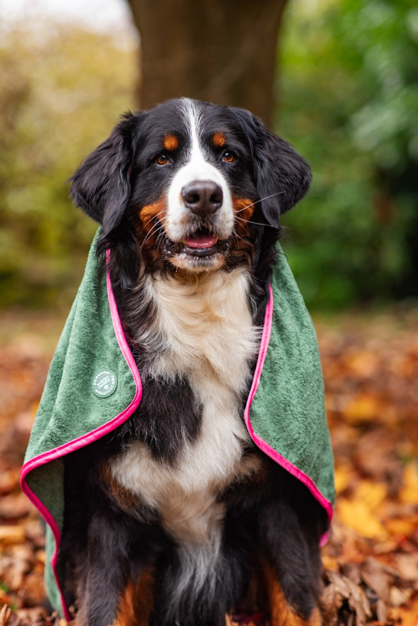 Microfibre Towel - Walkies Ready®