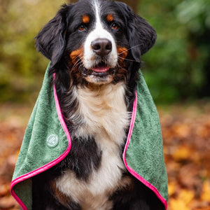 Microfibre Towel - Walkies Ready®