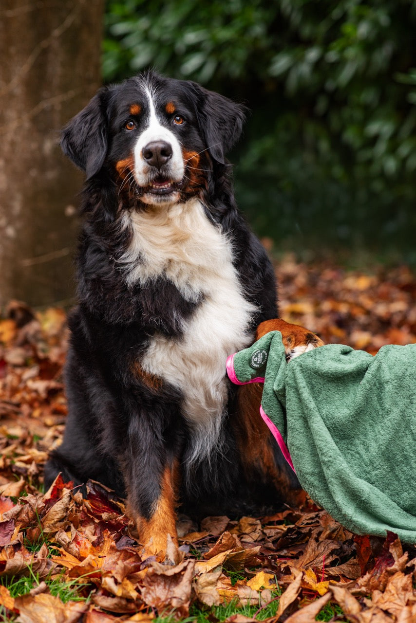 Microfibre Towel - Walkies Ready®