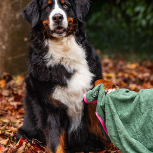 Microfibre Towel - Walkies Ready®