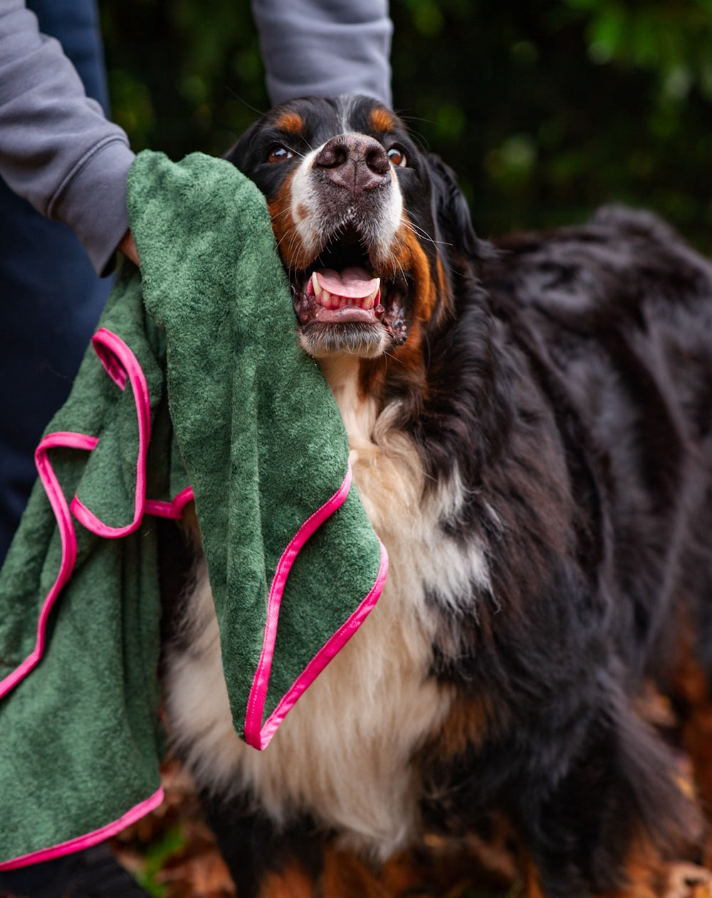 Microfibre Towel - Walkies Ready®