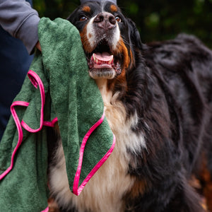 Microfibre Towel - Walkies Ready®