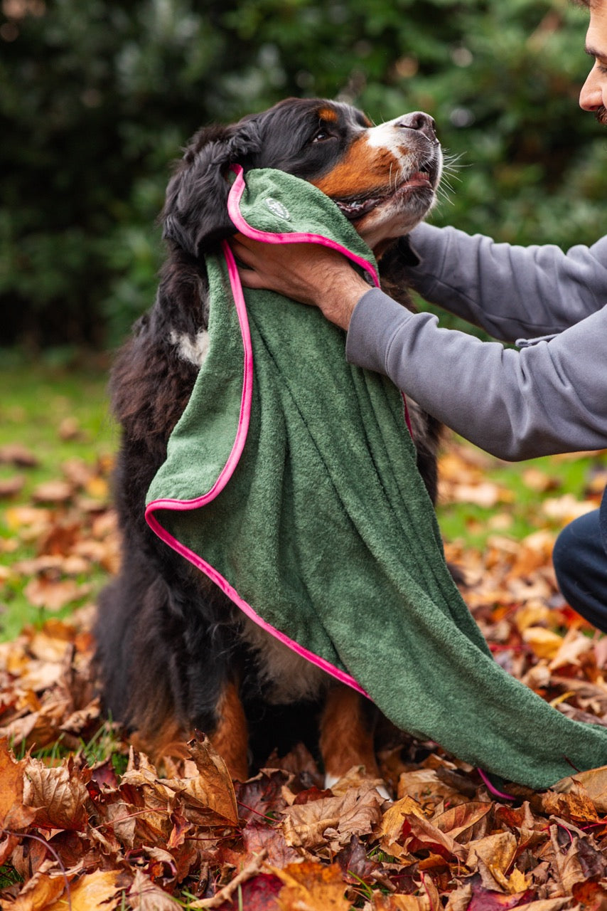 Microfibre Towel - Walkies Ready®