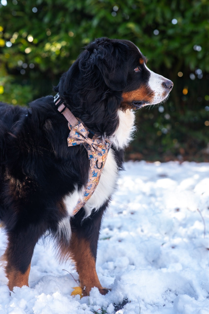 Disney© Bow Tie - Disney Dogs