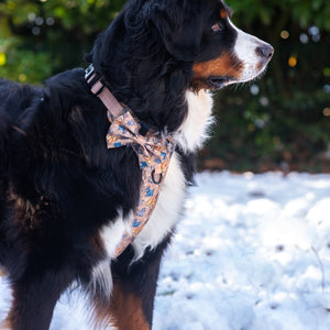 Disney© Bow Tie - Disney Dogs