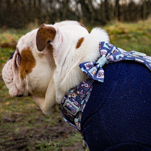 Disney© Bow Tie - Winnie + Friends