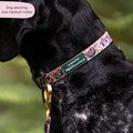 Collar - Adventure Awaits