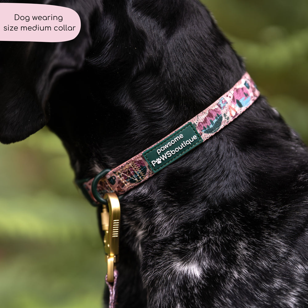 Collar - Adventure Awaits