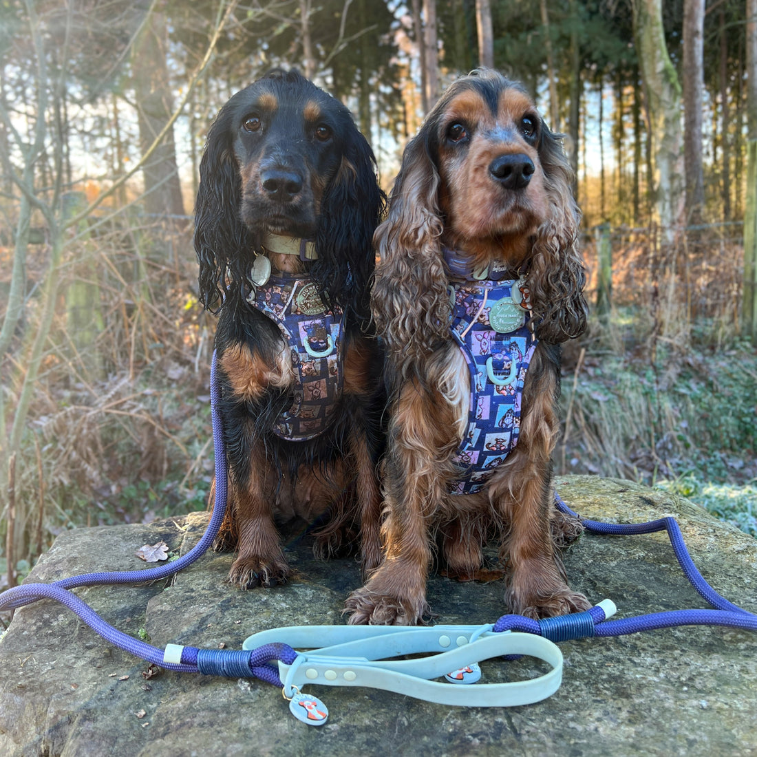 Disney© 4ft Rope Lead - Winnie + Friends - Sage and Blue