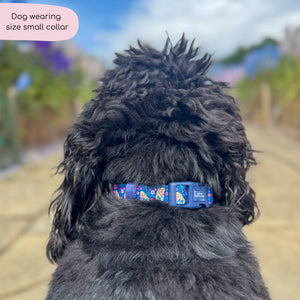 Disney© Collar - Alice In Wonderland