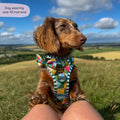 Tough Trails™ Harness -  Patchwork