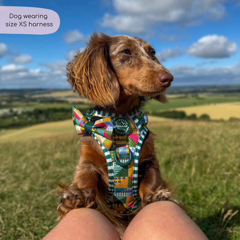 Tough Trails™ Harness -  Patchwork
