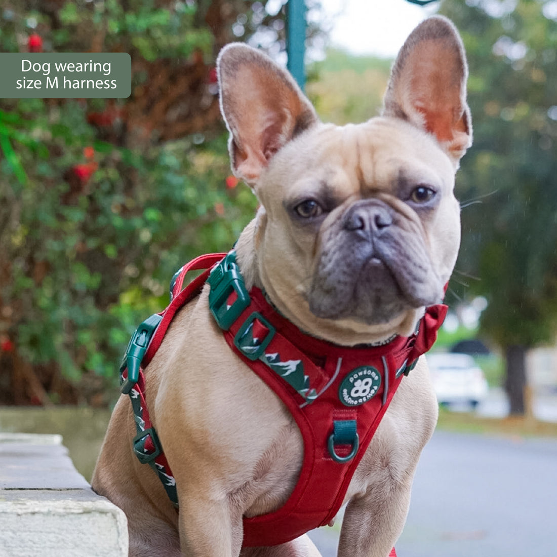Tough Trails™ Harness - Walkies Ready® Snowy Mountains