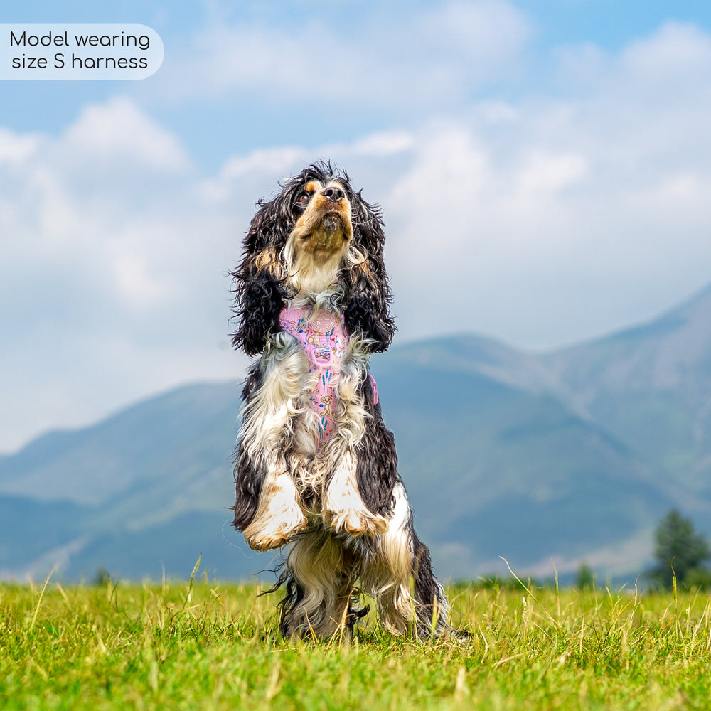 Disney© Tough Trails™ Harness - Nala