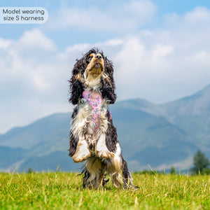 Disney© Tough Trails™ Harness - Nala