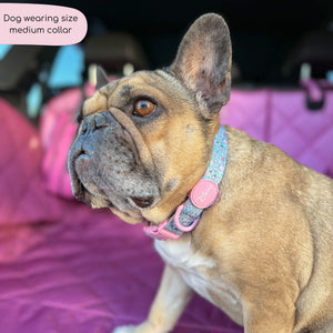 Disney© Collar - Mad Hatters Tea Party