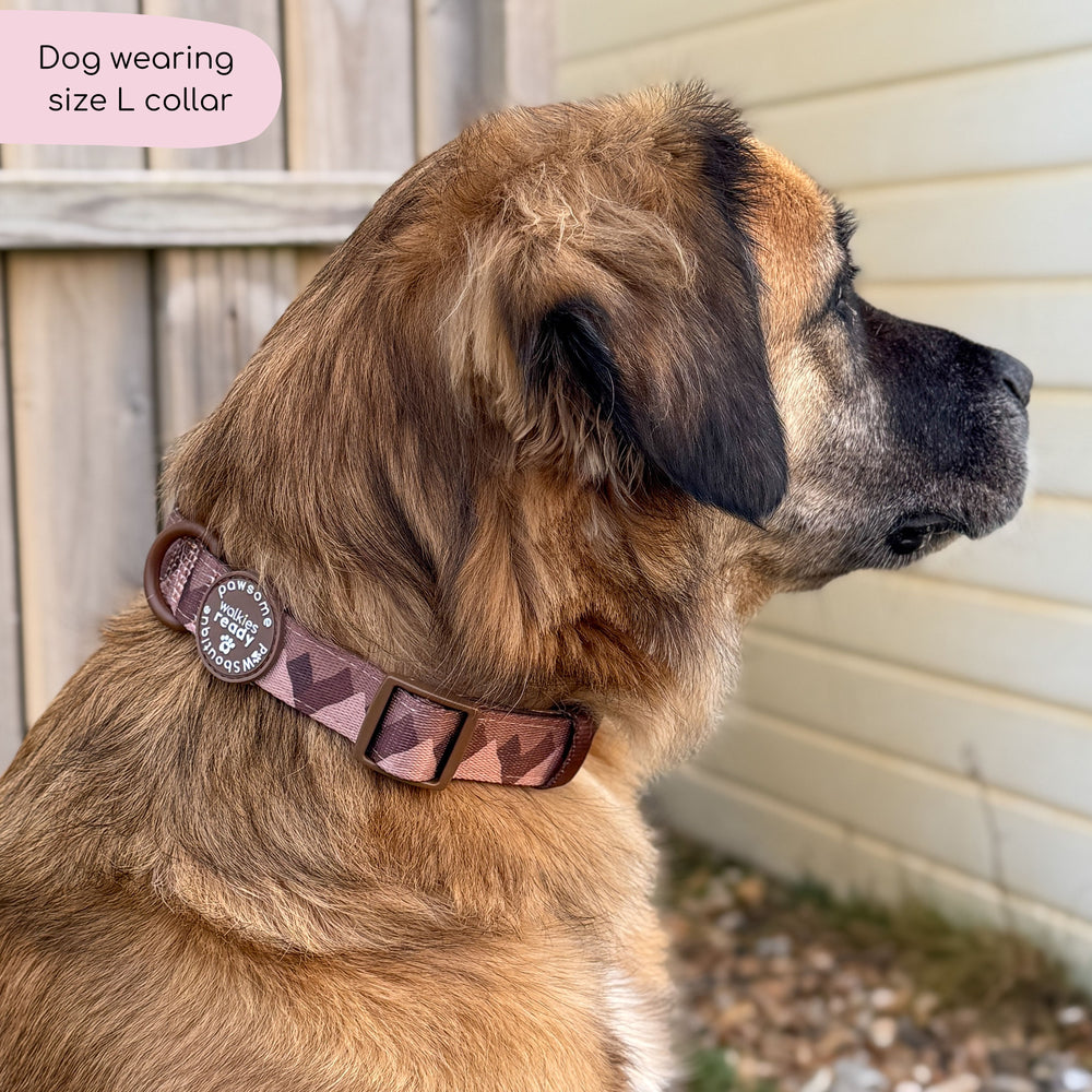 Collar – Walkies Ready® Chocolate Brown